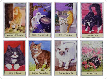 Cat's Eye Tarot